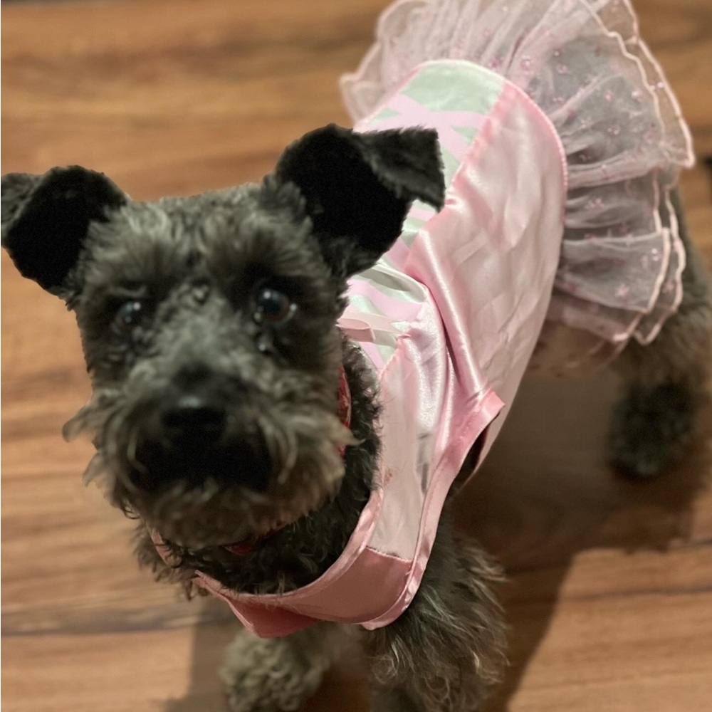 Pink and Silver Dance Costume Top